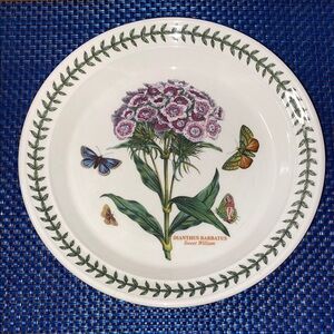 Portmeirion Botanic Gardens Sweet William Salad plate, has some crackling